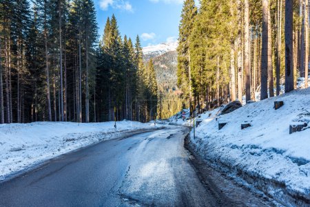 Téléchargez les photos : Route de montagne sinueuse à travers une forêt enneigée par une journée d'hiver ensoleillée - en image libre de droit