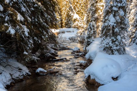 Téléchargez les photos : Ruisseau de montagne à travers une forêt enneigée au coucher du soleil en hiver - en image libre de droit