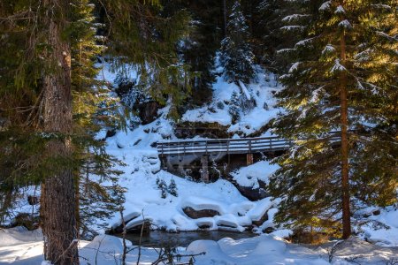 Téléchargez les photos : Promenade clôturée longeant un ruisseau dans une forêt enneigée dans les montagnes par une journée d'hiver ensoleillée - en image libre de droit