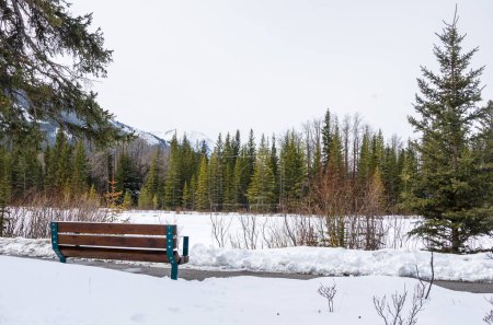 Téléchargez les photos : Banc en bois vide le long d'un sentier pavé sur la rive d'une rivière gelée dans les fontaines par une journée nuageuse d'hiver. Banff, AB, Canada. - en image libre de droit