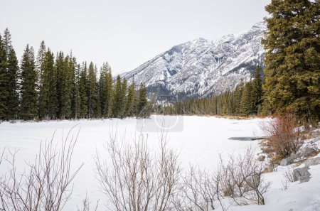 Téléchargez les photos : Rivière gelée à travers une pinède avec une montagne en arrière-plan par une journée nuageuse d'hiver. Rivière Bow, Banff, AB, Canada. - en image libre de droit