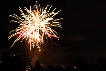 Photo for New year clebration firework in a park. Copy space. - Royalty Free Image
