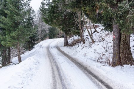 Foto de Camino de montaña cubierto de nieve estrecha a través de bosques en invierno - Imagen libre de derechos