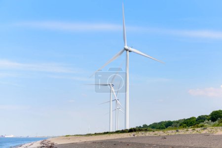 Photo for Wind turbine along a coast on a clear summer day. Rotterdam, Netherlands. - Royalty Free Image