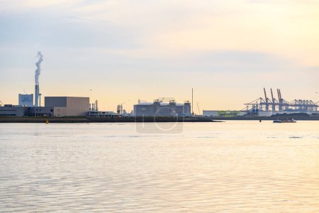 Téléchargez les photos : Vue d'un grand port maritime avec réservoirs de stockage de carburant, entrepôts, grues portiques et installations industrielles au coucher du soleil en été. Rotterdam, Pays-Bas. - en image libre de droit