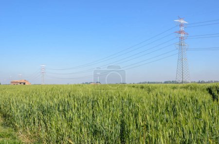 High voltage power liness over cultivated fields and tall steel pylons on a clear spring day