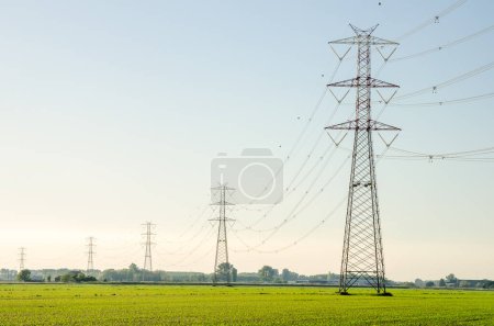 Photo for High voltage lines supported by tall steel towers in a rural landscape at sunset in spring - Royalty Free Image