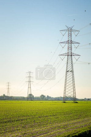 Téléchargez les photos : Pylônes électriques supportant des lignes à haute tension sur un champ cultivé au coucher du soleil au printemps - en image libre de droit