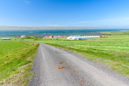 Téléchargez les photos : Route de gravier bordée de champs herbeux et de bâtiments agricoles sur la côte nord de l'Islande par une journée d'été ensoleillée - en image libre de droit