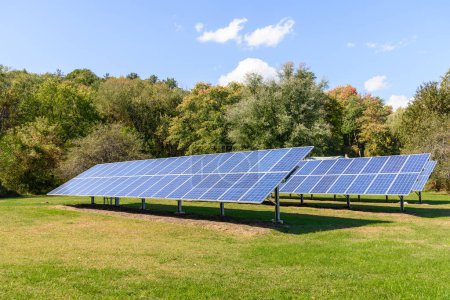 Filas de paneles solares con árboles en el fondo en el campo en un día claro de otoño. Catskill Mountains, NY, Estados Unidos.