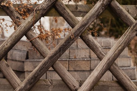 Téléchargez les photos : Clôture en bois de cèdre avec planches manquantes - Construction de clôtures - en image libre de droit