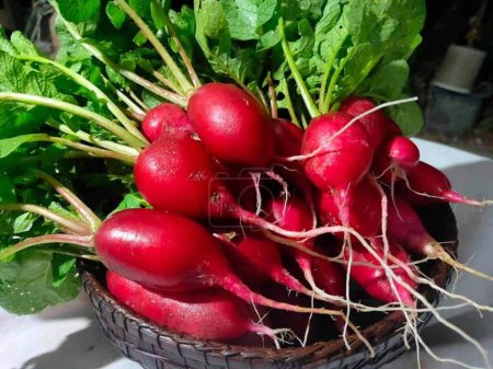 Photo for Red radishes in a basket. - Royalty Free Image