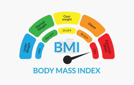 Illustration for Body Mass Index Infographic Chart. Colorful BMI Chart Vector Illustration With White Isolated Background - Royalty Free Image