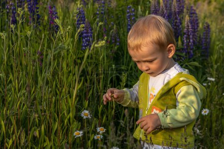 mother and child son are walking in a field of flowers. High quality photo