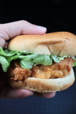 Téléchargez les photos : Gros plan du burger au filet de poulet - en image libre de droit