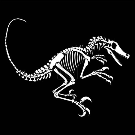 Téléchargez les illustrations : Illustration vectorielle des os de dinosaures corps entier isolé sur fond blanc - en licence libre de droit