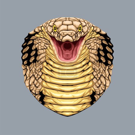 Detailed vector of cobra snake with opened mouth isolated on blank background