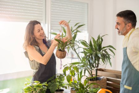 Photo for Adult caucasian couple spending time together while working on housework with their plants. focused woman holding a flowerpot while smiling - Royalty Free Image