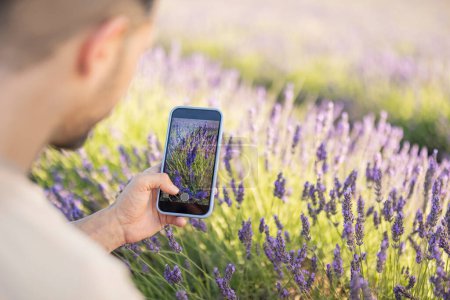 Téléchargez les photos : Gros plan photo d'un téléphone portable prenant une photo de fleurs de lavande - en image libre de droit
