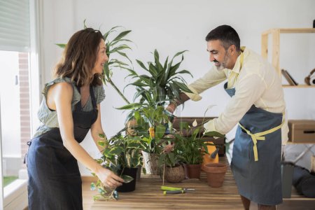 Téléchargez les photos : Couple adulte transplantant des pots à la maison appréciant les travaux ménagers ensemble - en image libre de droit