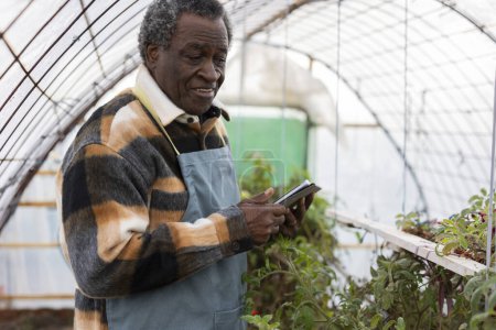 Téléchargez les photos : Fermier propriétaire de serre vérifiant et examinant la croissance de sa ferme biologique avec enregistrement numérique sur tablette - en image libre de droit