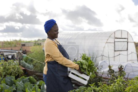 Foto de Mujer afroamericana que lleva productos frescos en granja orgánica - Imagen libre de derechos