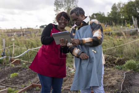 Foto de Pareja de ancianos afroamericanos en delantal examinando el crecimiento de su granja orgánica con tableta digital - Imagen libre de derechos