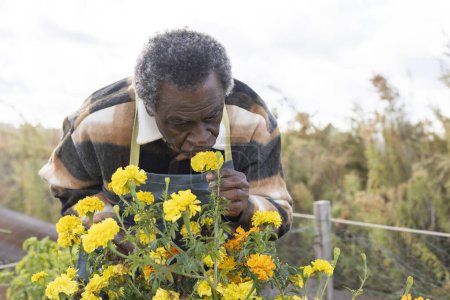 Téléchargez les photos : Retraité vieil homme sentant les fleurs profiter de la vie - nouvelle vie de pensionné - en image libre de droit