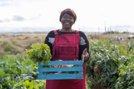 Sonriente anciana con una caja de verduras frescas, mostrando la generosidad de su jardín.