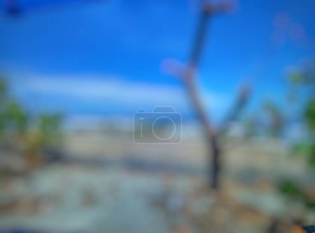 Defokussiert. Landschaft, ein schöner Blick auf den Strand mit dem sehr berühmten Namen "Pantai Panjang" in Bengkulu, Indonesien. Es ist ein trockener Baum sichtbar, an einem sonnigen Tag