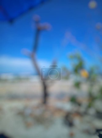 Porträt einer schönen Aussicht auf den Strand mit dem sehr berühmten Namen "Pantai Panjang" in Bengkulu, Indonesien. An einem sonnigen Tag ist ein trockener Baum zu sehen. Verschwommen