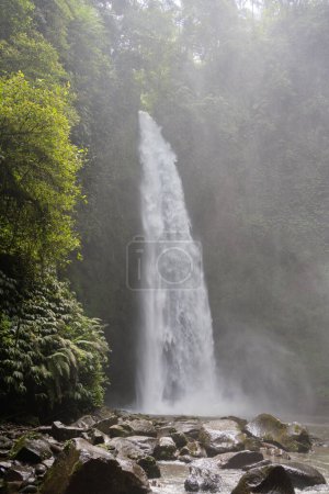 Photo for Bali jungle waterfall near Ubud, Indonesia. - Royalty Free Image