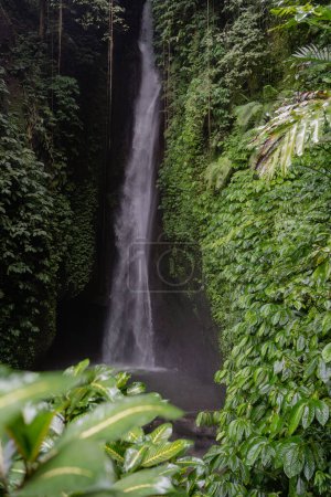 Photo for Waterfall landscape. Beautiful hidden Leke Leke waterfall in Bali. Tropical scenery. Waterfall in tropical rainforest - Royalty Free Image