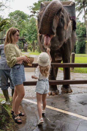 Foto de Mujer con hija alimentar al elefante en los trópicos - Imagen libre de derechos