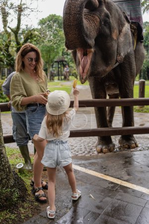 Téléchargez les photos : Femme avec fille nourrir l'éléphant sous les tropiques - en image libre de droit