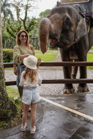 Téléchargez les photos : Femme avec fille nourrir l'éléphant sous les tropiques - en image libre de droit