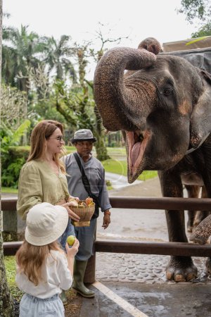 Foto de Bali, Indonesia, mayo 14,2023. mujer con hija alimentar al elefante en los trópicos - Imagen libre de derechos