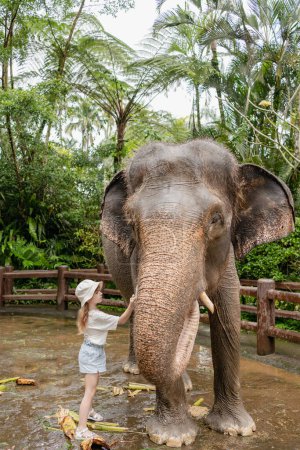Photo for Child girl is washing and cleaning an elephant in sanctuary park at Bali, Indonesia - Royalty Free Image