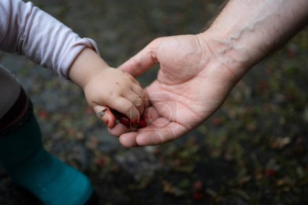 A father holds his daughter's hand. Close-up shot. The daughter passes red berries