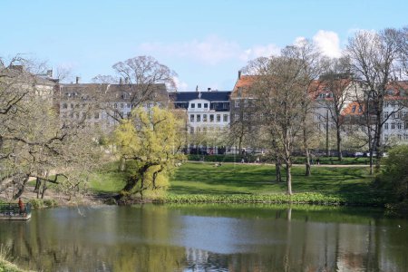 a large city park with birds and a lake in the center of Copenhagen