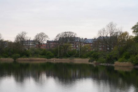 Foto de Un gran parque decorado con hierba verde y un lago en el centro del distrito de Copenhague - Imagen libre de derechos
