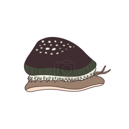 Illustration for Cartoon Vector illustration cowry icon Isolated on White Background - Royalty Free Image