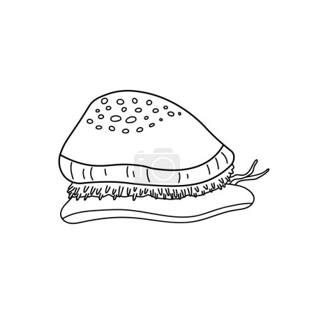 Illustration for Hand drawn Cartoon Vector illustration cowry icon Isolated on White Background - Royalty Free Image