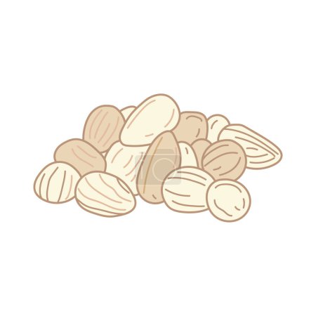 Illustration for Kids drawing vector Illustration bunya nuts in a cartoon style Isolated on White Background - Royalty Free Image