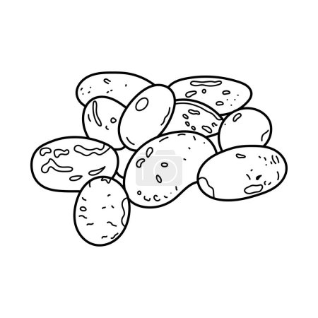 Hand drawn Kids drawing vector Illustration pinto beans in a cartoon style Isolated on White Background