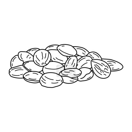 Illustration for Hand drawn Kids drawing vector Illustration marcona almonds in a cartoon style Isolated on White Background - Royalty Free Image