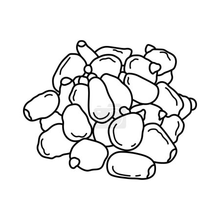 Illustration for Hand drawn Kids drawing vector Illustration breadnuts in a cartoon style Isolated on White Background - Royalty Free Image