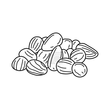Illustration for Hand drawn Kids drawing vector Illustration bunya nuts in a cartoon style Isolated on White Background - Royalty Free Image