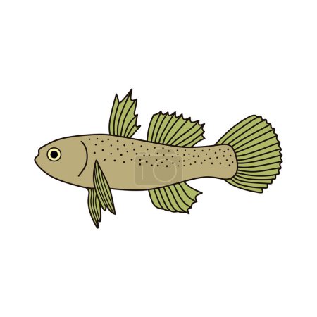Illustration for Cartoon Vector illustration freshwater goby fish icon Isolated on White Background - Royalty Free Image