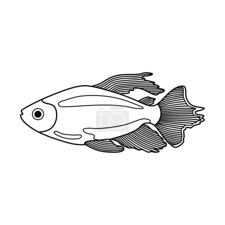 Illustration for Hand drawn Cartoon Vector illustration congo tetra fish icon Isolated on White Background - Royalty Free Image
